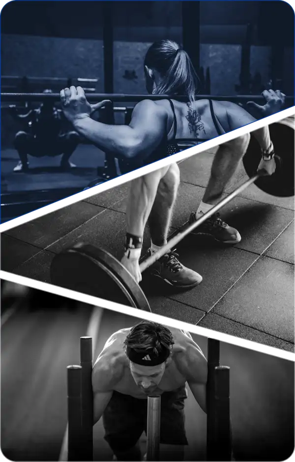 Gimnasio de Fuerza